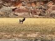 Capital Reed National Park