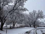 Capital Reed National Park