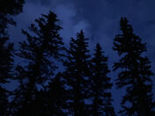 Santa Fe National Forest 