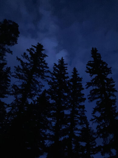 Santa Fe National Forest 