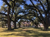 Cane River Creole National Historical Park