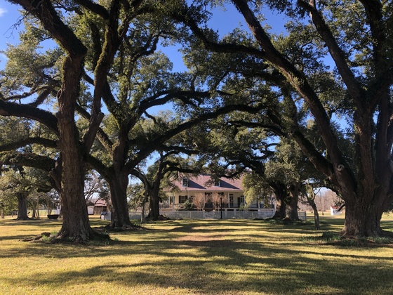 Cane River Creole National Historical Park