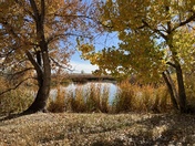 Rocky Mountain Arsenal National Wildlife Refuge