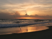 Canaveral National Seashore