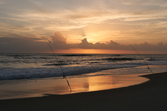 Canaveral National Seashore