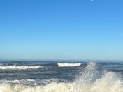 Redwoods National & State Park