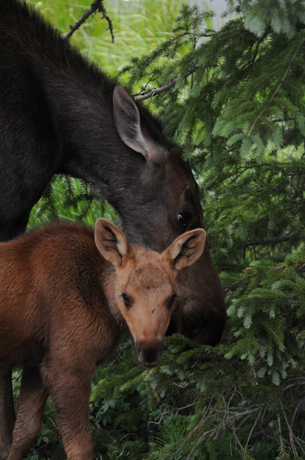 Rocky Mountain National Park