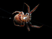 Everglades National Park