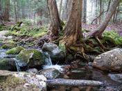 Acadia National Park