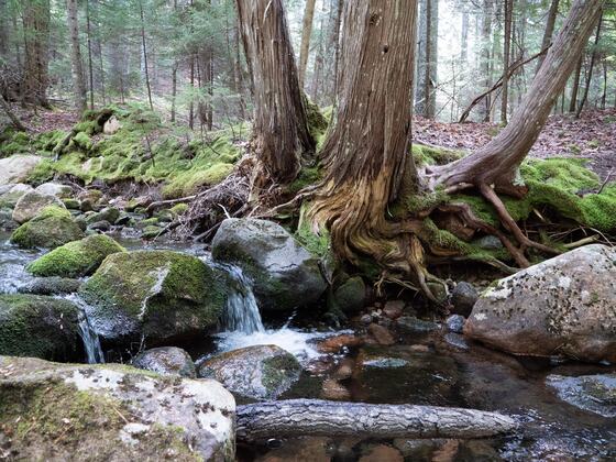 Acadia National Park