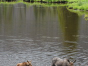 Rocky Mountain National Park
