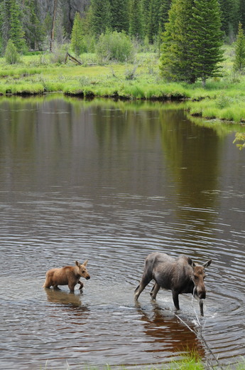 Rocky Mountain National Park