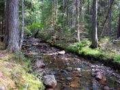 Acadia National Park