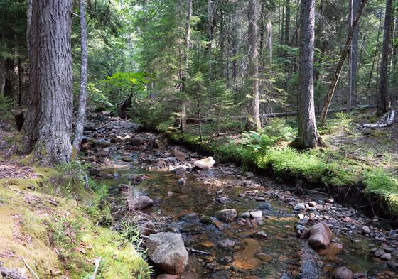 Acadia National Park