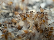 Everglades National Park