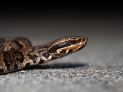 Everglades National Park