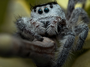 National Key Deer Refuge