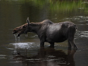 Rocky Mountain National Park