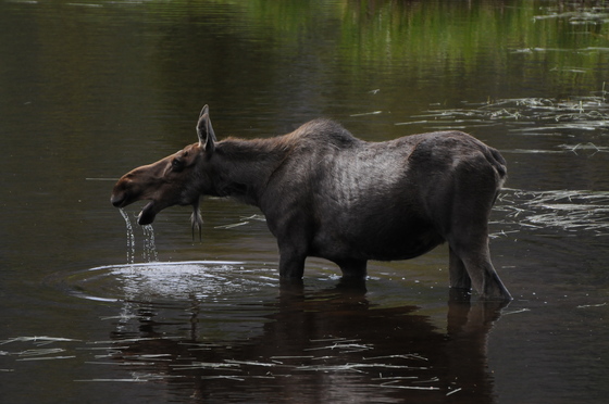 Rocky Mountain National Park