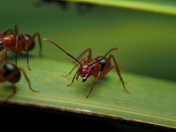 Everglades National Park