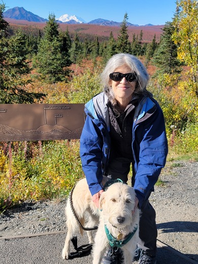 Denali National Park and Preserve