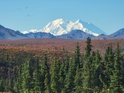 Denali National Park and Preserve