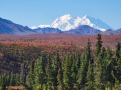 Denali National Park and Preserve