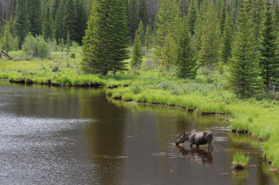 Rocky Mountain National Park