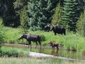 Rocky Mountain National Park
