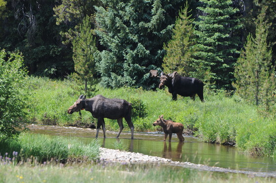 Rocky Mountain National Park
