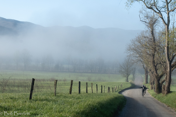 Great Smoky Mountain National Park