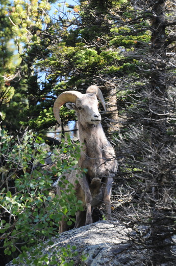 Rocky Mountain National Park