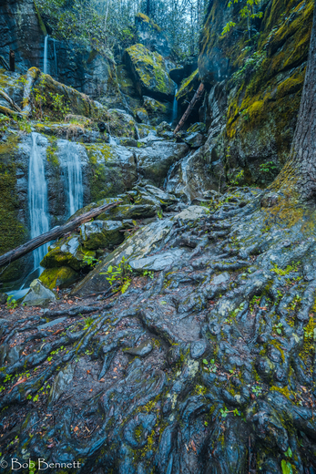 Great Smoky Mountain National Park