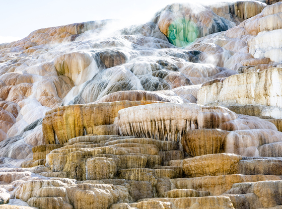 Yellowstone National Park