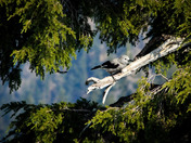 Crater Lake National Park