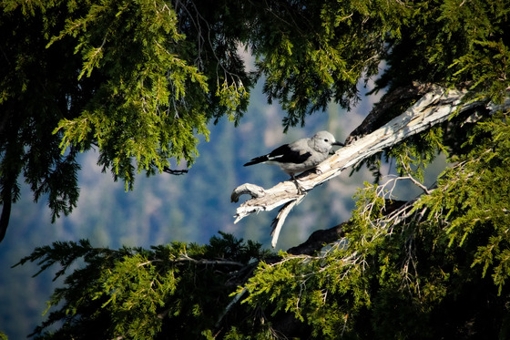 Crater Lake National Park