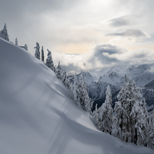 Mt. Baker - Snoqualmie National Forest
