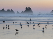 Olympic National Park