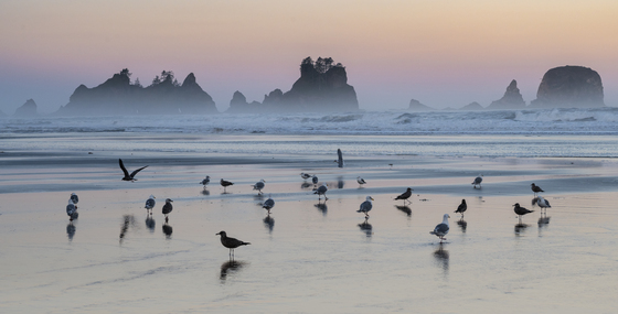 Olympic National Park