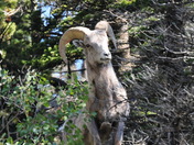 Rocky Mountain National Park
