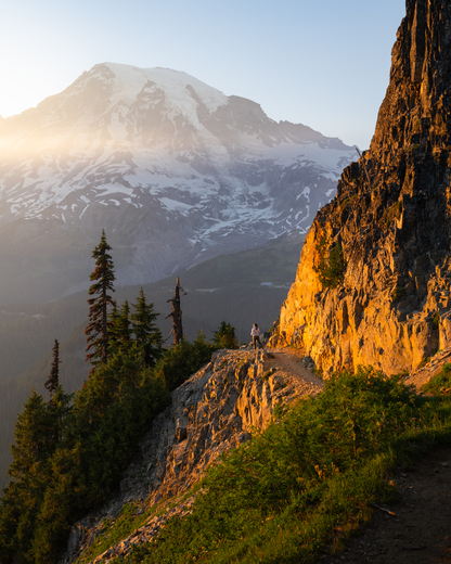 Mt. Rainier National Park
