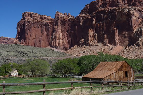 Capitol Reef National Park