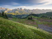 Mt. Rainier National Park