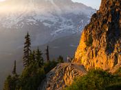 Mt. Rainier National Park