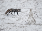 Mount Rainier National Park