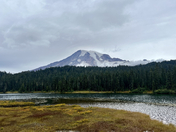 Mount Rainier National Park