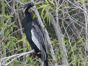 Everglades National Park