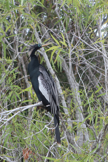 Everglades National Park
