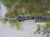 Everglades National Park