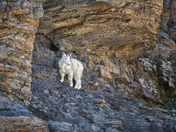 Glacier National Park